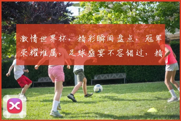 激情世界杯，精彩瞬间盘点，冠军荣耀谁属，足球盛宴不容错过，精彩瞬间逗你笑