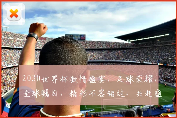 2030世界杯激情盛宴，足球荣耀，全球瞩目，精彩不容错过，共赴盛宴
